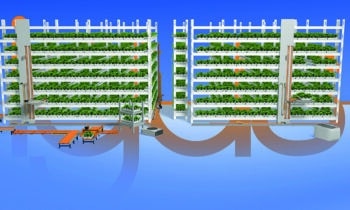 Verticaal in plaats van horizontaal: hoe motion plastics de landbouwsector verduurzamen 14
