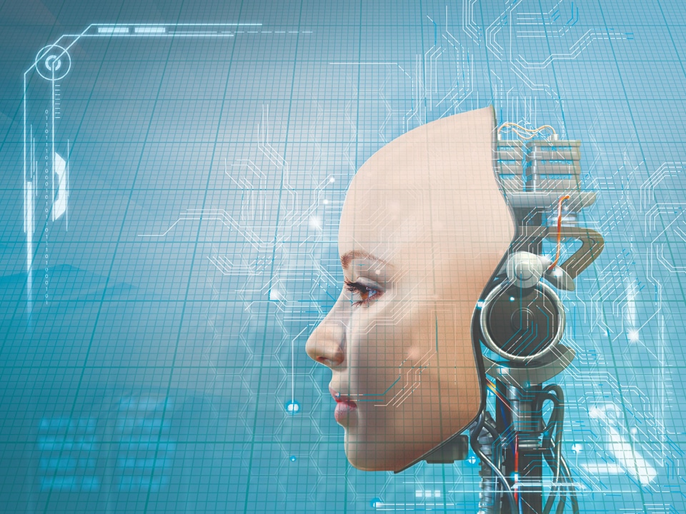 247TailorSteel in Robotland 1